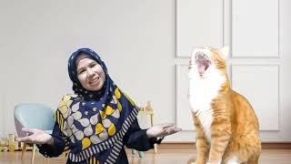 Download lagu Cara Berkembang Biak Kucing mp3