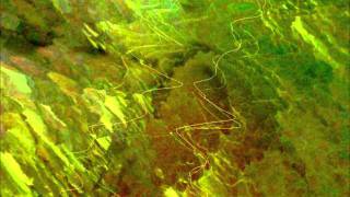 Niamh Carter - Someone Like You