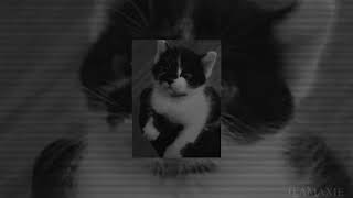 Cover art for infinity