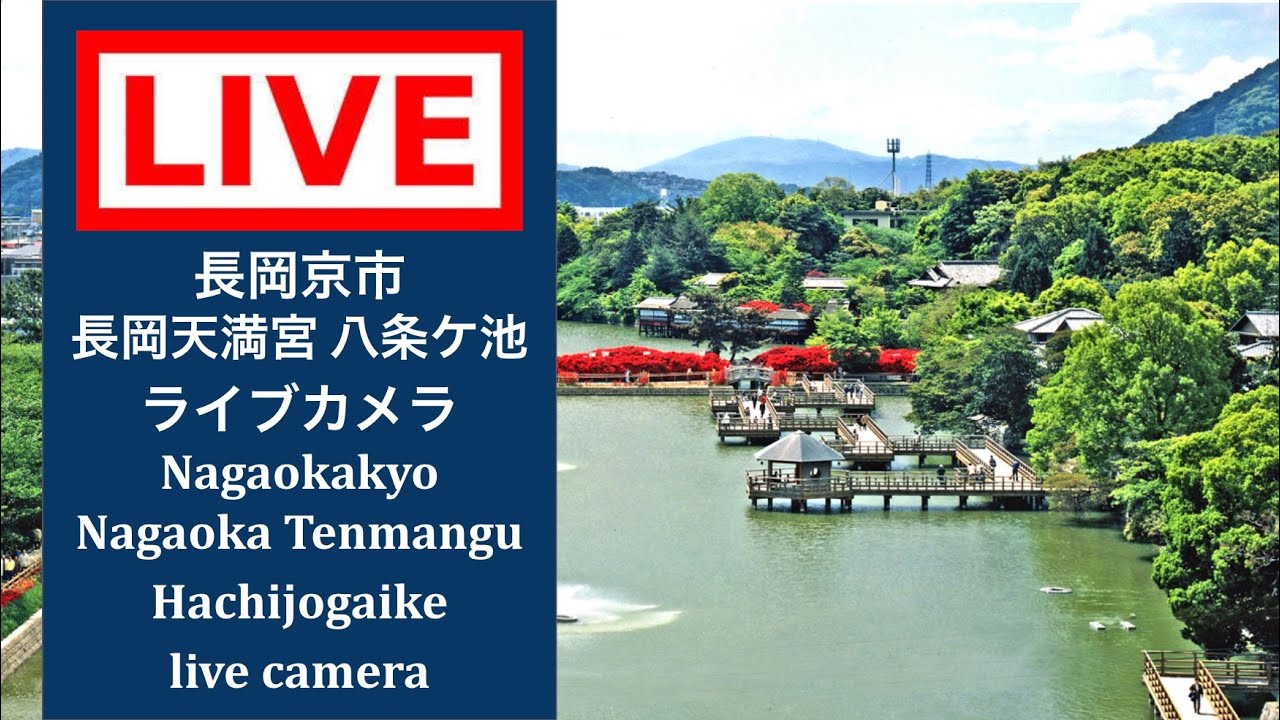 Live webcam view of Nagaoka Tenmangu Shrine & Pond Garden