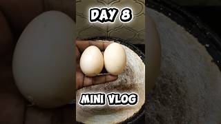 Day 8 of Mine Vlog 👾#food #collegelife #consistency #desipline #viralvideo #fun #motivation #4k