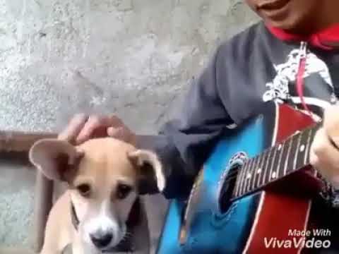 Kutta song