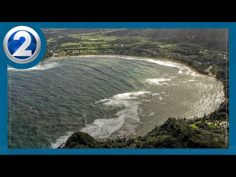 Surfer suffers leg injuries after being bitten by shark at Hanalei Bay