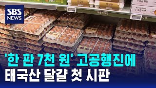 '한 판 7천 원' 고공행진에..태국산 달걀 첫 시판 / SBS