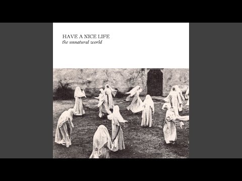 Defenestration Song video