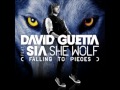 David Guetta feat. Sia - She Wolf (Falling To Pieces) RADIO EDIT [HQ] [official]