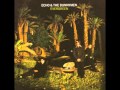 Echo & The Bunnymen - Evergreen