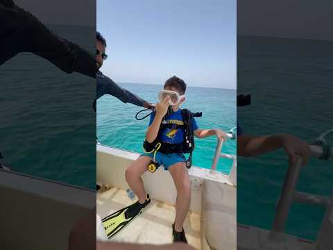 Scuba Diving Adventure 🤿 🌊  #scubadiving #oliverandlucas