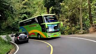 Download lagu story wa bus gunung harta solution 🤟terbaru 🏁🏁 mp3 Download lagu story wa bus gunung harta solution 🤟terbaru 🏁🏁 mp3
