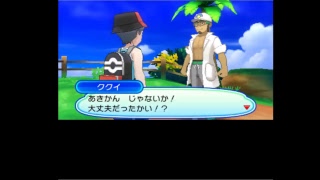 ポケモンウルトラサンムーン初期の御三家色違い出るまで