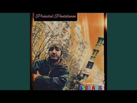proiectul pantelimon (Outro)