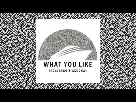 Skogsberg & Akdogan - What You Like [CMS553]