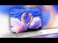 Ф Шуберт Лебединая Песня Серенада 