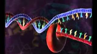 HIV Replication 3D Medical Animation