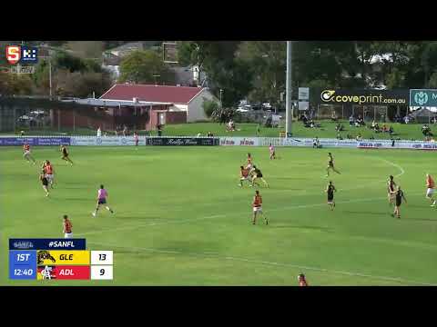 Rd 8 Hostplus SANFL Snapshot - Adelaide's Harry Schoenberg goals from 45m