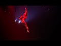 Duo Trapeze