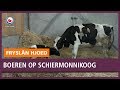 REPO: Omschakeling boeren op Schiermonnikoog