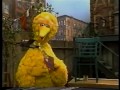 Sesame Street Alice Learns Spanish More