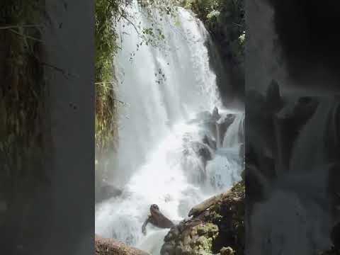 PROYECTO EN PREVENTA CATARATA Quintas Residenciales en Grecia, Alajuela