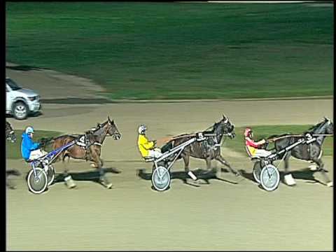 Trotto 18/09/2016 - 8ª corsa