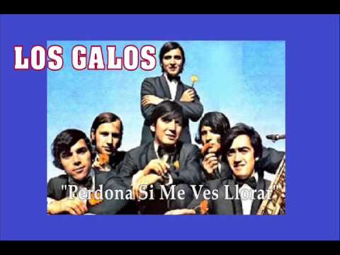 LOS GALOS "Perdona Si Me Ves Llorar"
