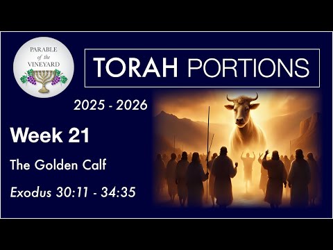 Torah Portion Week 21 - Exodus 30:11 - 34:35  (The Covenant & Golden Calf)   2025 - 2026