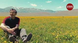 Sülek Yaylaları Dipsiz Gölde Sarı Çiçekler