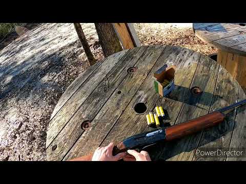 Overview of the Remington 1100