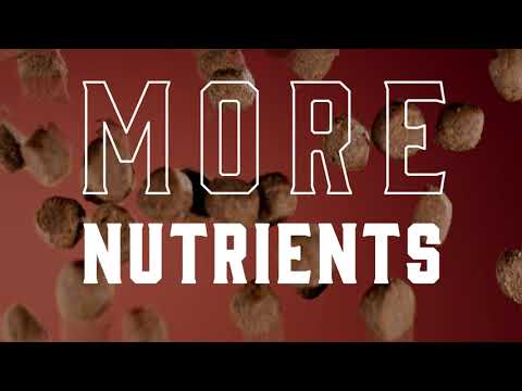 All Dog Foods Are Not The Same | Merrick Dry Dog Food | Nutrients
