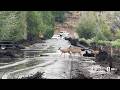Beaver residents evacuated due to flooding