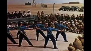 RAZOR RITES "No Reason"