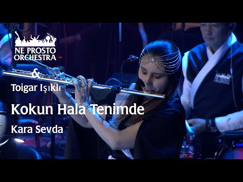 Kokun Hala Tenimde - Kara Sevda - Toygar Işıklı & Ne Prosto Orchestra