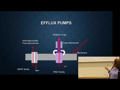 11-ABR mechanisms: target modification and efflux