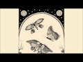 Jean Leloup - Les Papillons 