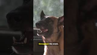 Download lagu Inside MUFON 60 Second Case Rush #dothingsyoudontwanttodo #duet#MUFON #theothersideofmakebelieve mp3 Download lagu Inside MUFON 60 Second Case Rush #dothingsyoudontwanttodo #duet#MUFON #theothersideofmakebelieve mp3