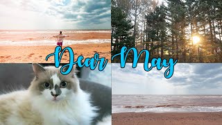 Dear May...