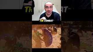 Crimson Desert Huge First Day Sales