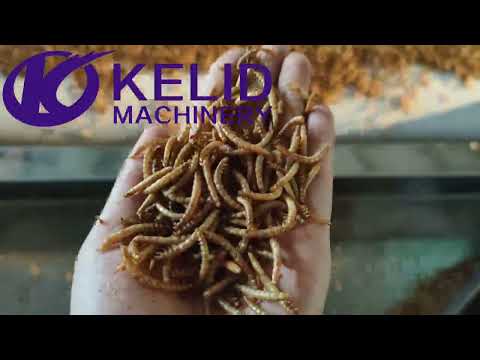 200kw microwave drying machine for mealworms