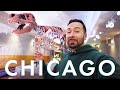 Traveling To CHICAGO Solo Make Sure You Don T Do THIS