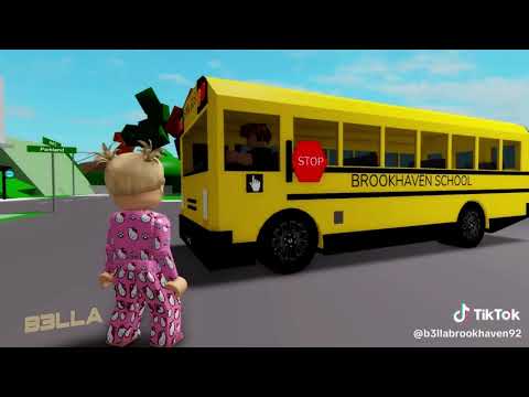 Normal Day on Ohio 2 | Roblox Brookhaven RP🏡