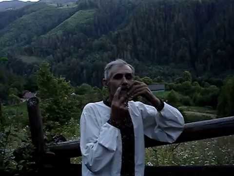 Товарниця — Відео