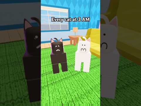 Roblox Cat Activites #roblox #potemer #robloxanimation