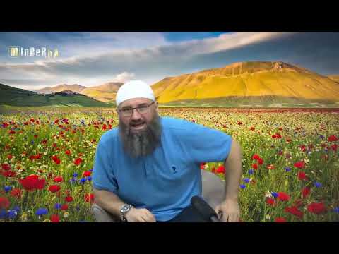 Strah od braka prouzrokovan mišljenjem da mu je spolni organ prekratak - Elvedin Pezić