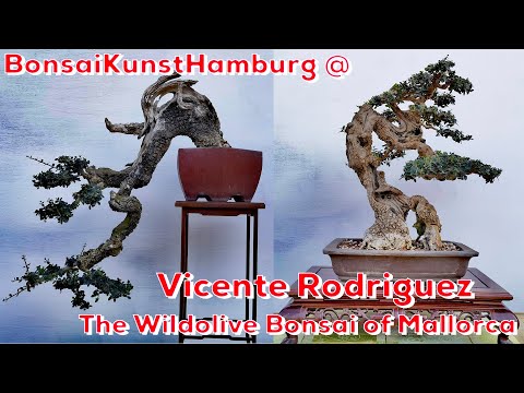 BonsaiKunstHamburg @ Vicente Rodriguez