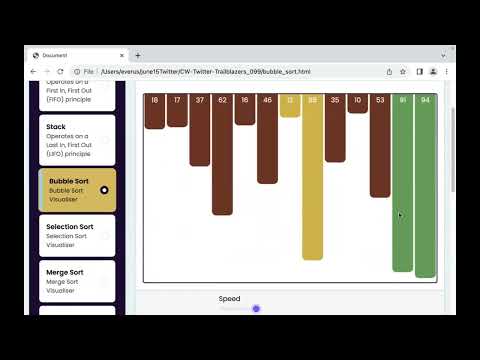 Algorithm Visualizer Project Zoom Presentation
