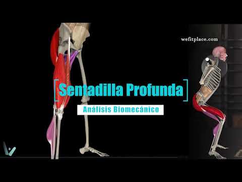 Análisis biomecánico sentadilla