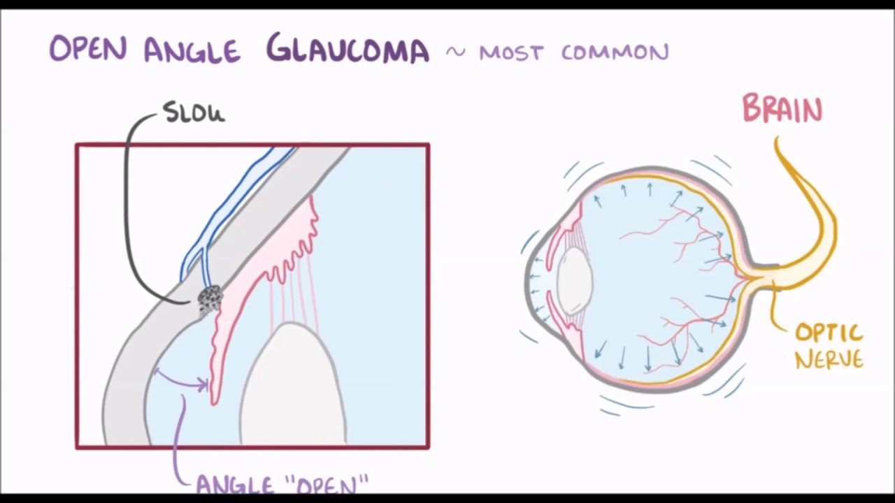 Alessandra Nuvoloni-9