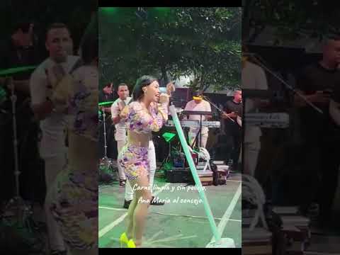 EL PASE DEL NOKIA, ANA DEL CASTILLO