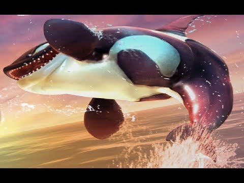 Furthest Travel in 2m in Bay Special Map Live Contest (Top 2%) - Hungry Shark World