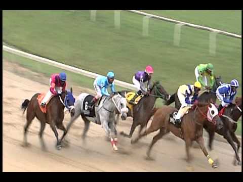 Arima Race Club Race day 33 Race 4